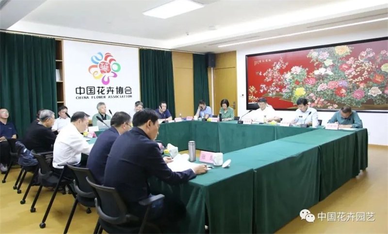 探寻顺德蝴蝶兰的独特魅力